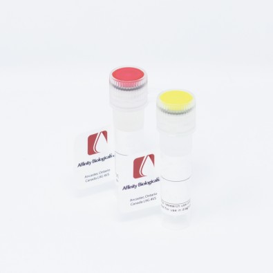 Factor II Inhibitor Plasma, 1ml vial – (Mild) – Frozen (Special Terms Apply*)