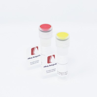 Factor IX Inhibitor Plasma, 1ml vial – (Mild) – Frozen (Special Terms Apply*)
