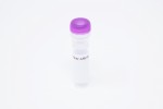 Toxocara Canis – E/S Antigens 1 Vial