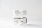 Rox Phospholipid TGT