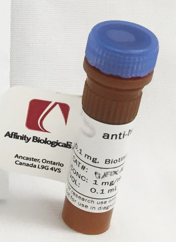 Sheep, non-immune Biotinylated IgG