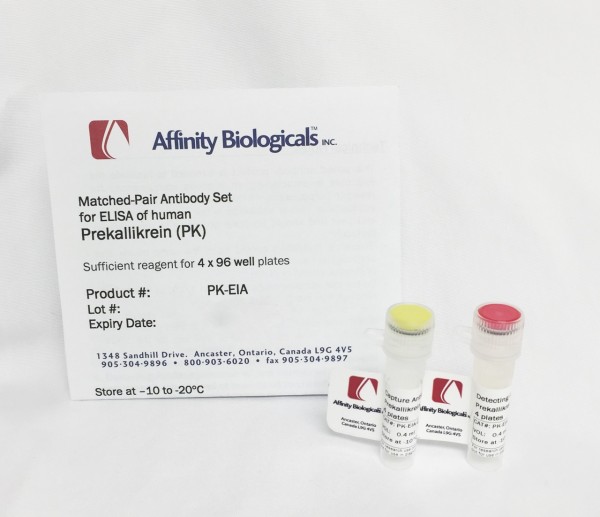 Prekallikrein – Paired Antibody Set for ELISA
