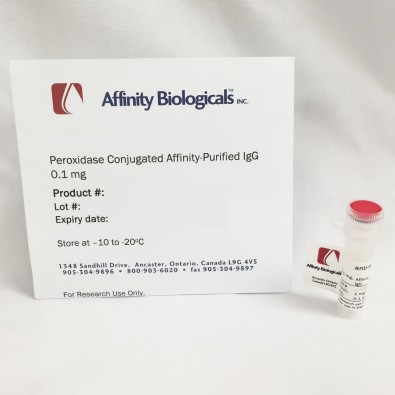 Anti-Human α1-Antitrypsin (α1AT) Sheep, affinity purified peroxidase conjugated IgG