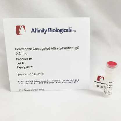 Anti-Human α1-Antitrypsin (α1AT) Sheep, affinity purified peroxidase conjugated IgG
