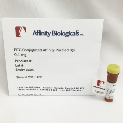 Anti-Human Factor VIII:C (FVIII:C) Sheep, affinity purified IgG-FITC conjugate