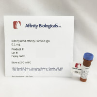 Anti-Human Factor V (FV) Sheep, affinity purified IgG-BIOTIN conjugate
