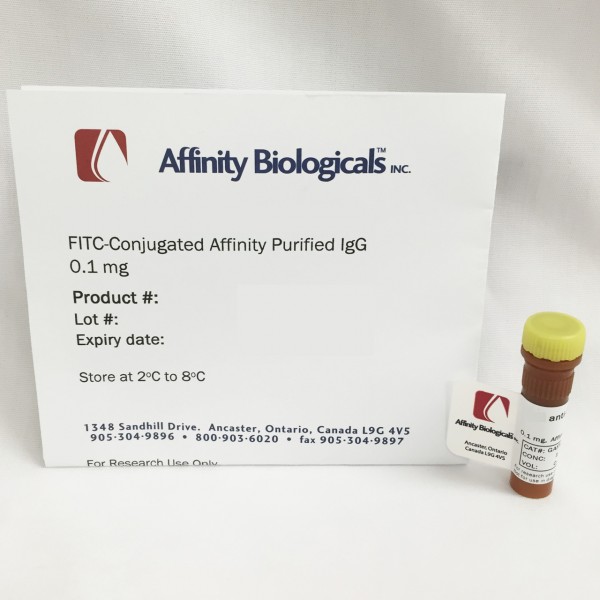 Anti-Human Factor VII (FVII) Sheep, affinity purified IgG-FITC conjugate