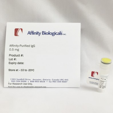 Anti-rabbit fibrinogen Sheep, affinity purified IgG