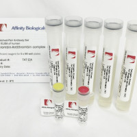 Thrombin-Antithrombin Complex – Paired Antibody Set for ELISA