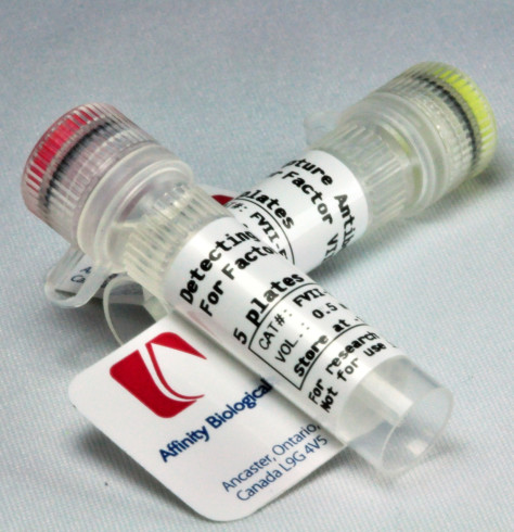 von Willebrand Factor – Paired Antibody Set for ELISA