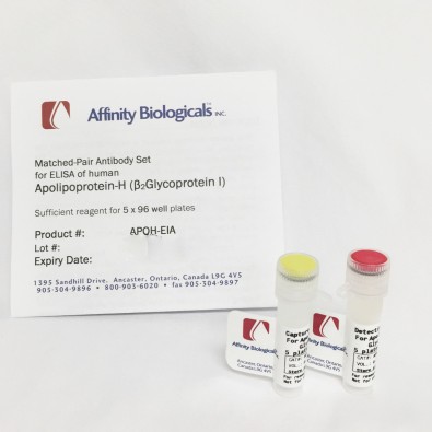 Apolipoprotein-H (B2-Glycoprotein-I) – Paired Antibody Set for ELISA