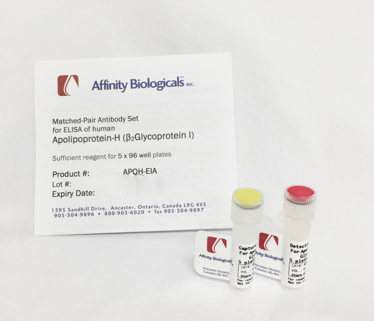 ApolipoproteinH (B2GlycoproteinI) Paired Antibody Set for ELISA