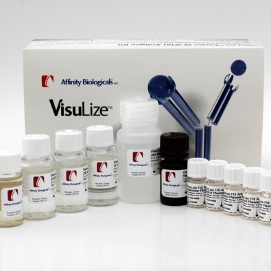 Factor IX Antigen Kit – Complete with standards & controls (IVD)
