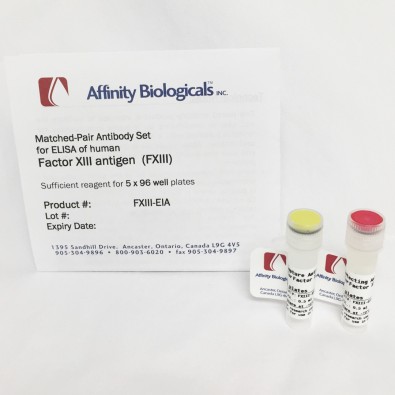 Factor XIII – Paired Antibody Set for ELISA