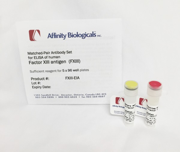 Factor XIII – Paired Antibody Set for ELISA