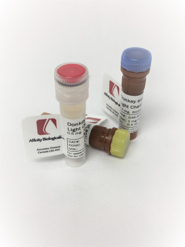 Heavy & Light Chain IgG