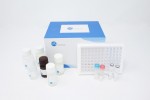 Human TF/F3 (Tissue Factor) ELISA Kit