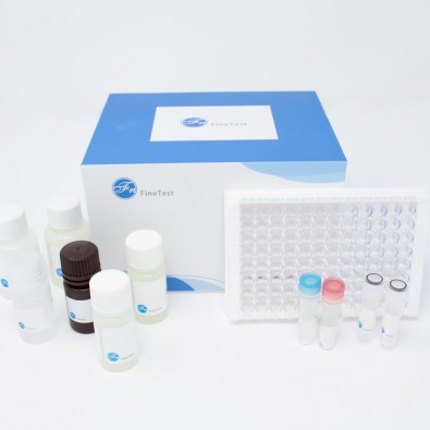 Human F13A1 (Coagulation Factor XIII A Chain) ELISA Kit