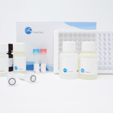 Human F8 (Coagulation Factor VIII) ELISA Kit