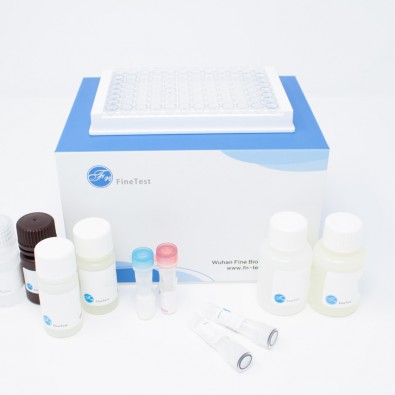 Human MCFD2 (Multiple Coagulation Factor Deficiency Protein 2) ELISA Kit