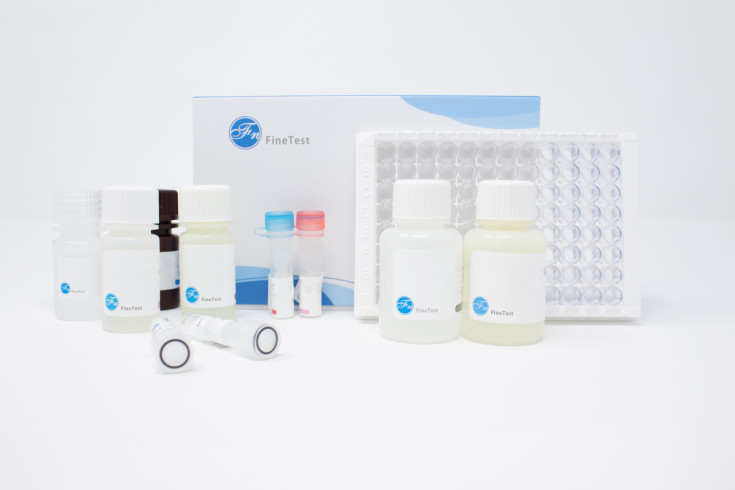 Human F2RL3 (Proteinase-Activated Receptor 4) ELISA Kit