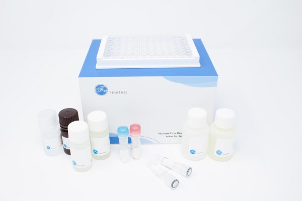 Mouse F2R (Proteinase-Activated Receptor 1) ELISA Kit