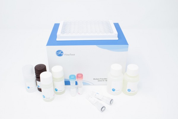 Mouse FII (Coagulation Factor II) ELISA Kit