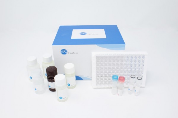 Mouse FVIII (Coagulation Factor VIII) ELISA Kit