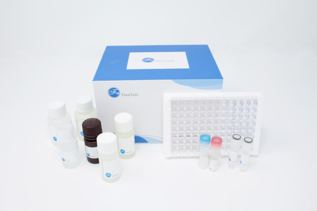 Mouse PAR2 (Protease Activated Receptor 2) ELISA Kit