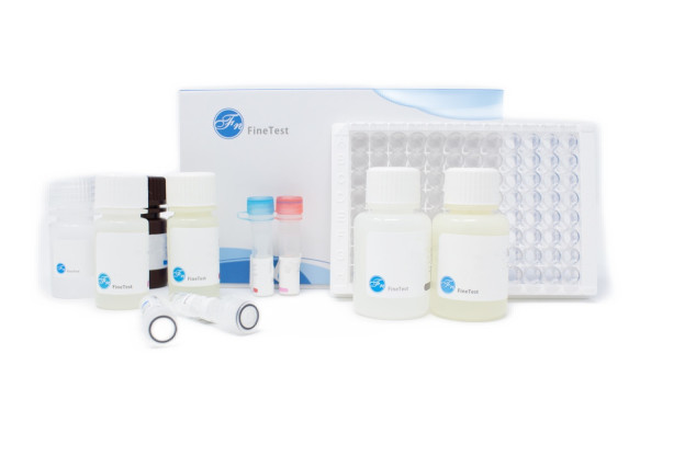 Rat ProC (Vitamin K-Dependent Protein C) ELISA Kit