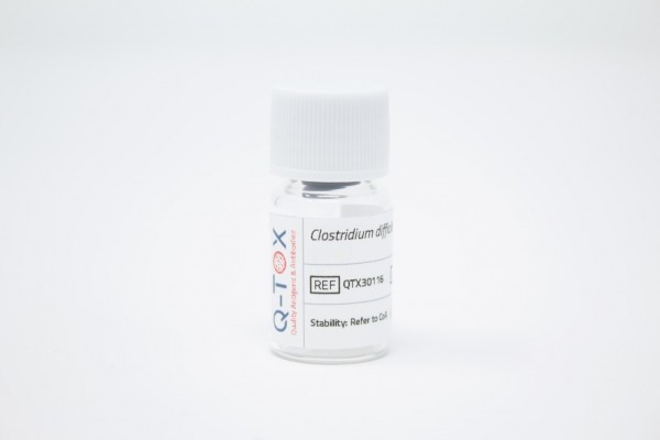 Clostridium difficile Toxin B (2µg)