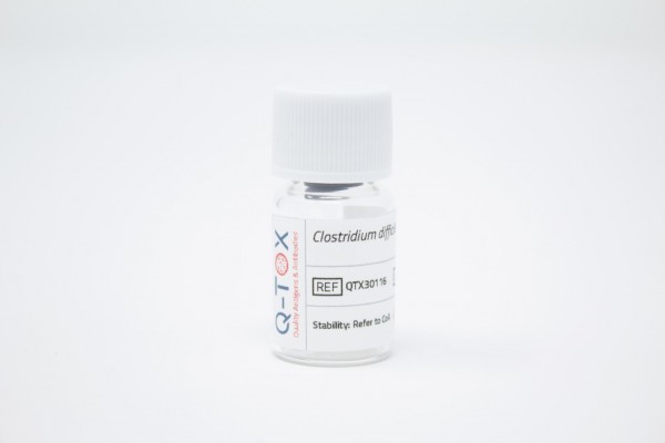 Clostridium difficile Toxin B (100µg)