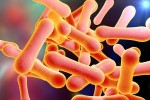 Diphtheria Toxin (1mg)