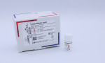 Arachidonic Acid
