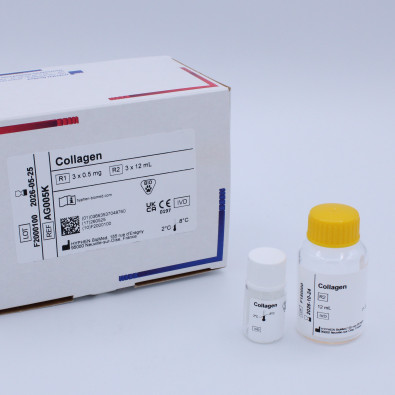 Collagen