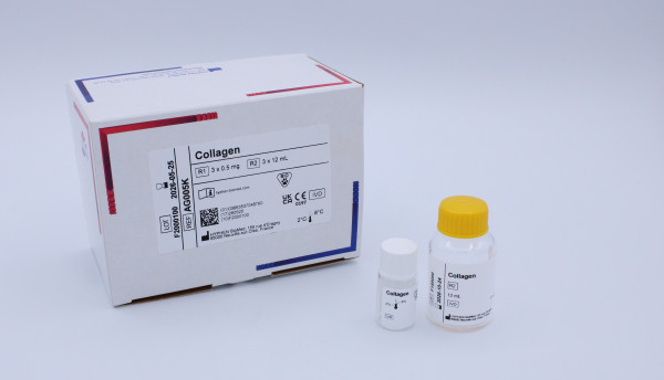 Collagen