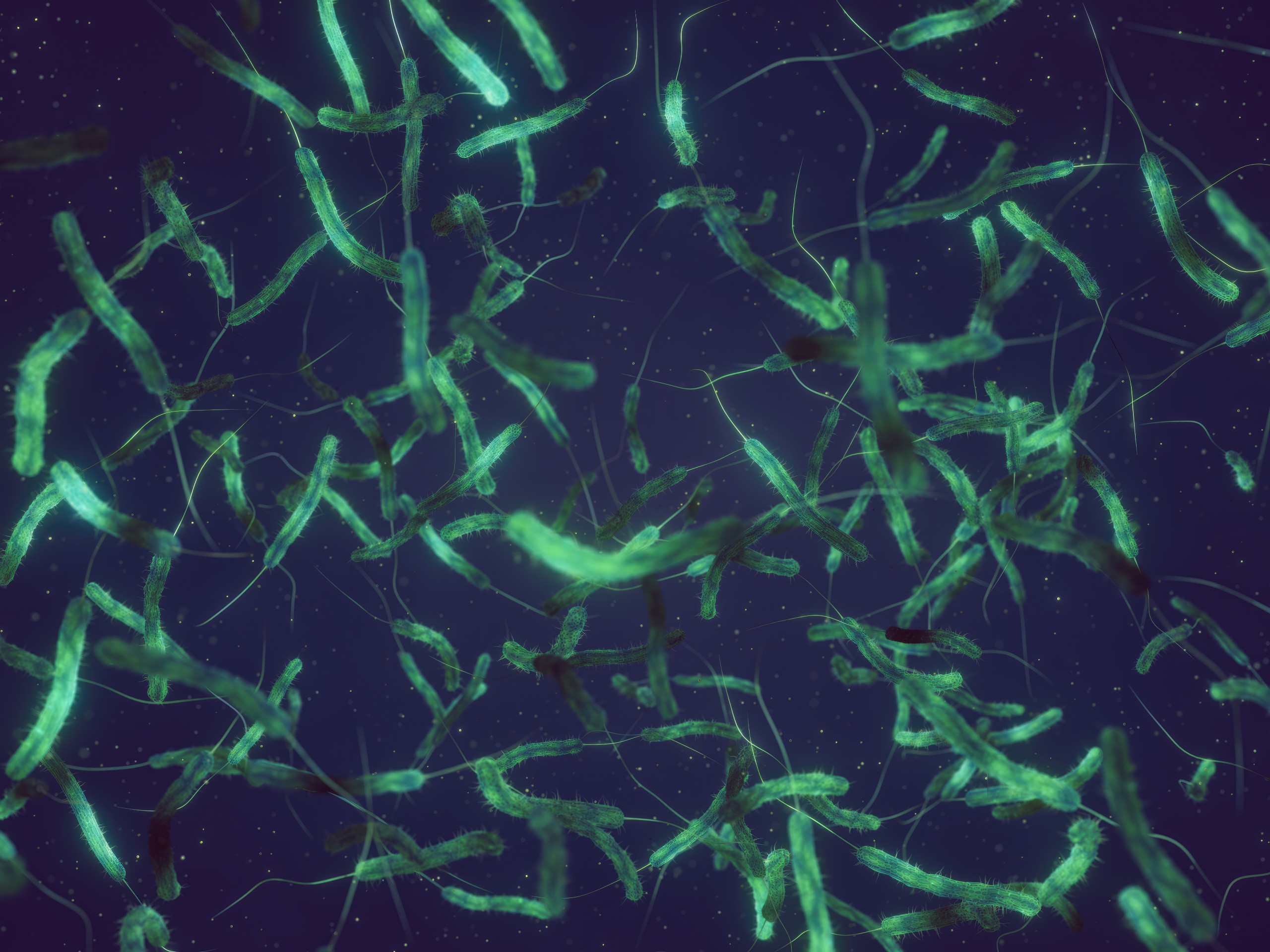 Cholera bacteria in a dark blue water