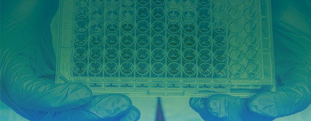 ELISA Kits