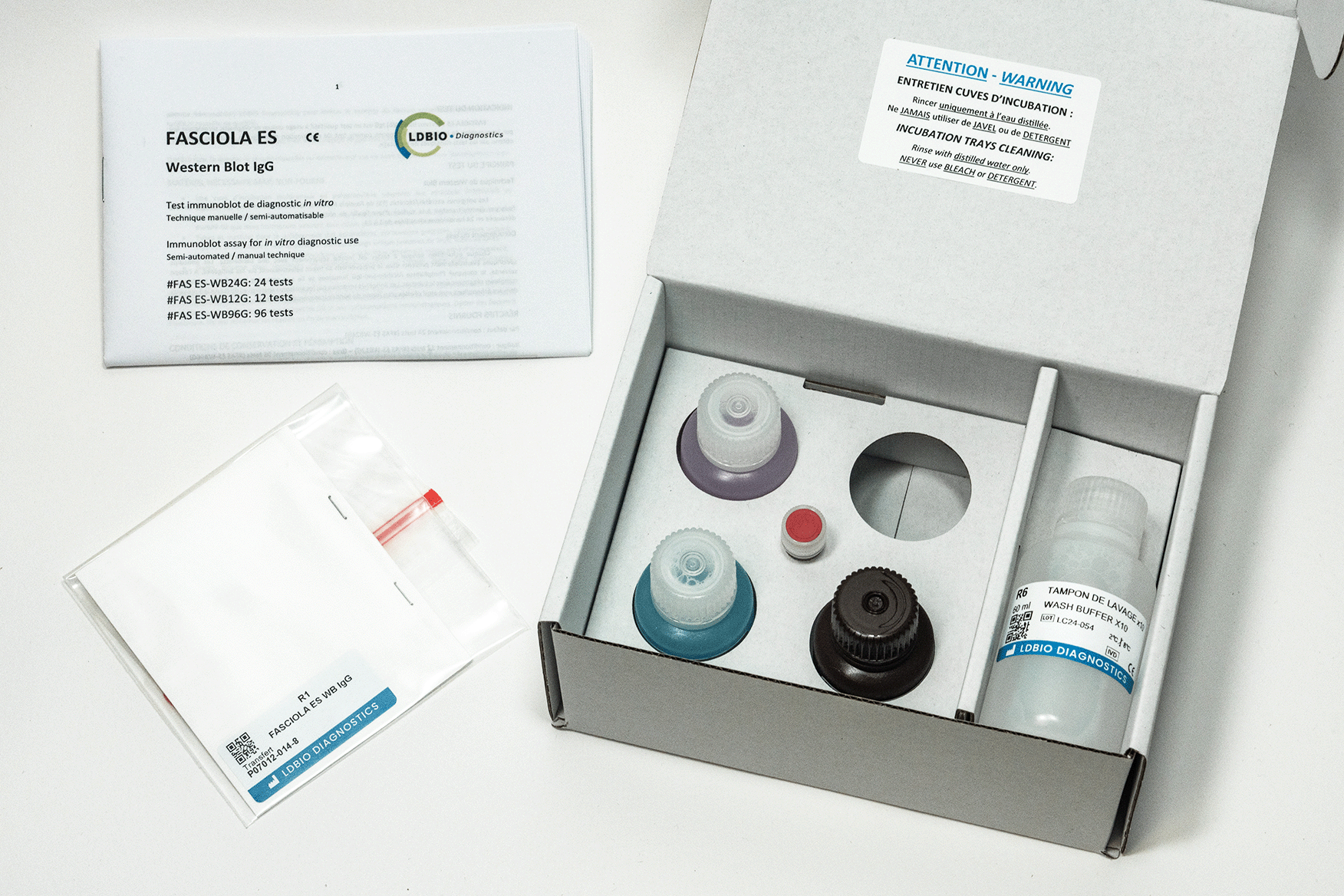Fasciola ES Western Blot IgG (12T) Medical Diagnostic Products