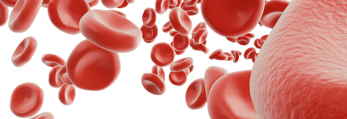 Abstract red blood cells, scientific or medical or microbiological concept, 3d rendering isolated on white background