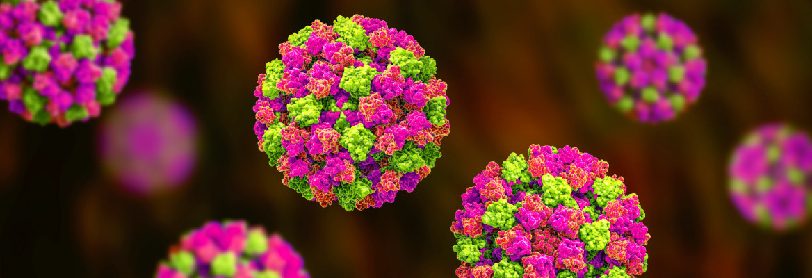 Norovirus, winter vomiting bug, RNA virus from Caliciviridae family, causative agent of gastroenteritis characterized by diarrhea, vomiting, stomach pain. 3D illustration