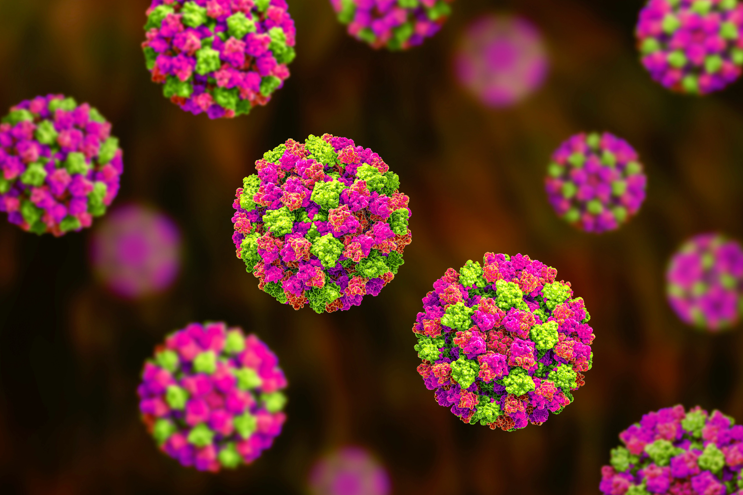 Norovirus, winter vomiting bug, RNA virus from Caliciviridae family, causative agent of gastroenteritis characterized by diarrhea, vomiting, stomach pain. 3D illustration
