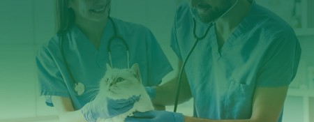 Veterinary